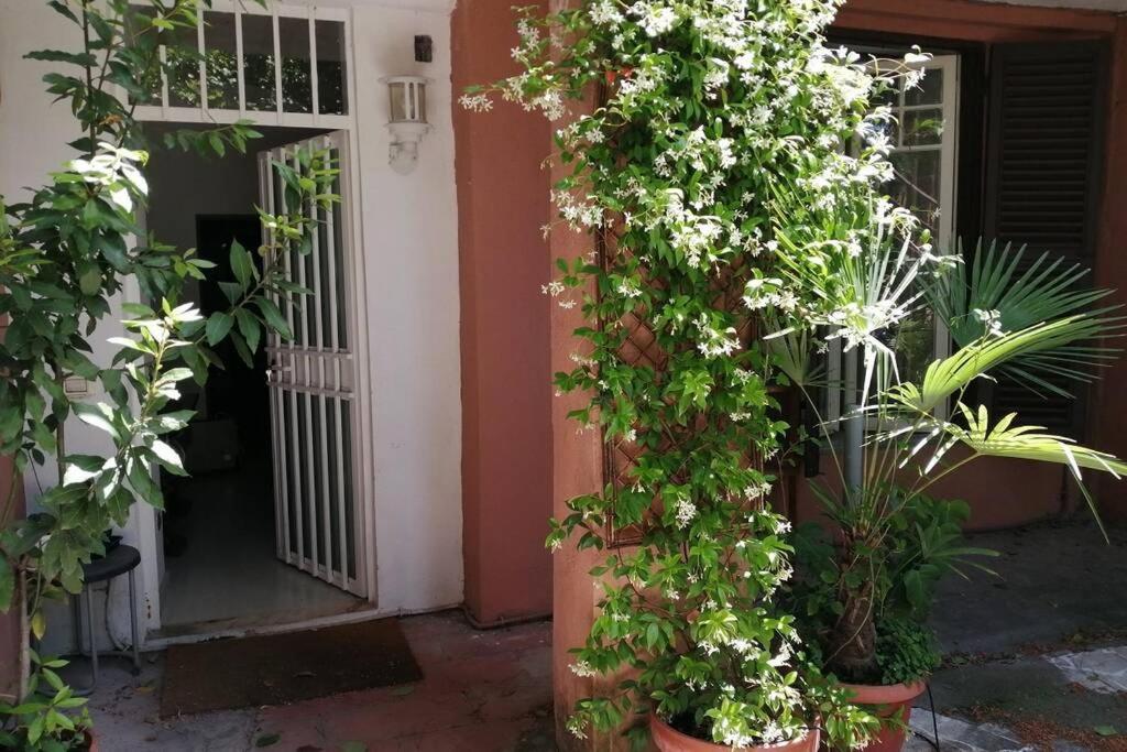 La Casa Della Mia Famiglia Apartment Rome Bagian luar foto