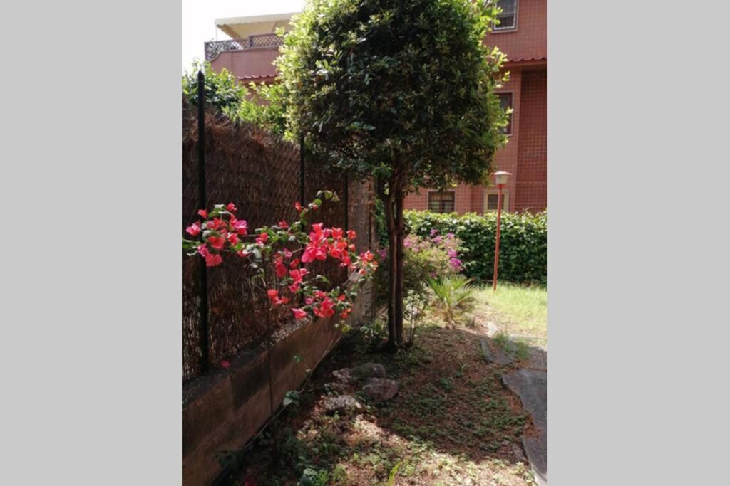 La Casa Della Mia Famiglia Apartment Rome Bagian luar foto